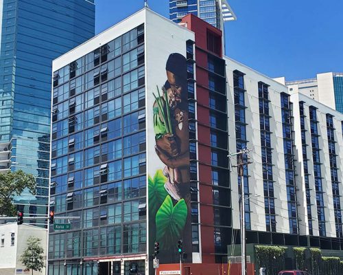 project-halekewalo-featured