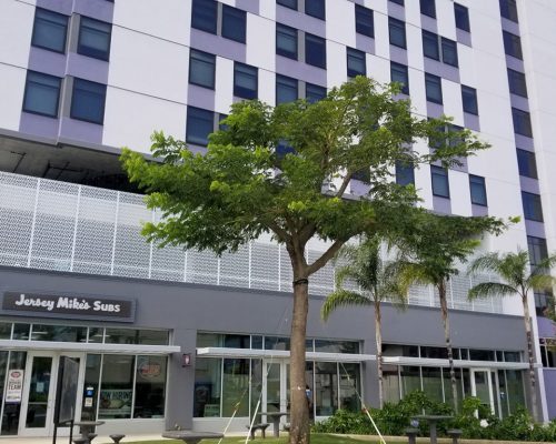 project-halemahana-featured