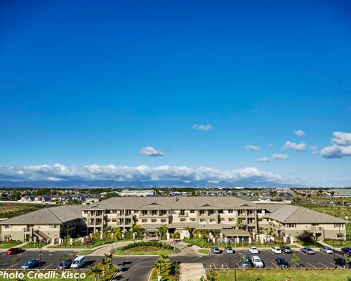 project-ilimaleihano-featured