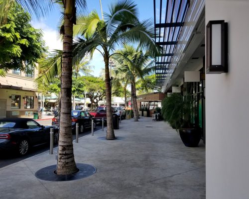 project-lauhala-featured