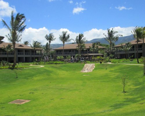 project-luanagarden-featured